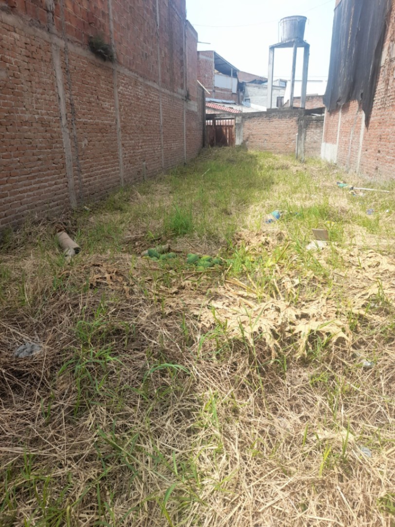 Cra 6, El Carmelo, Candelaria, Valle del Cauca, Colombia 4
